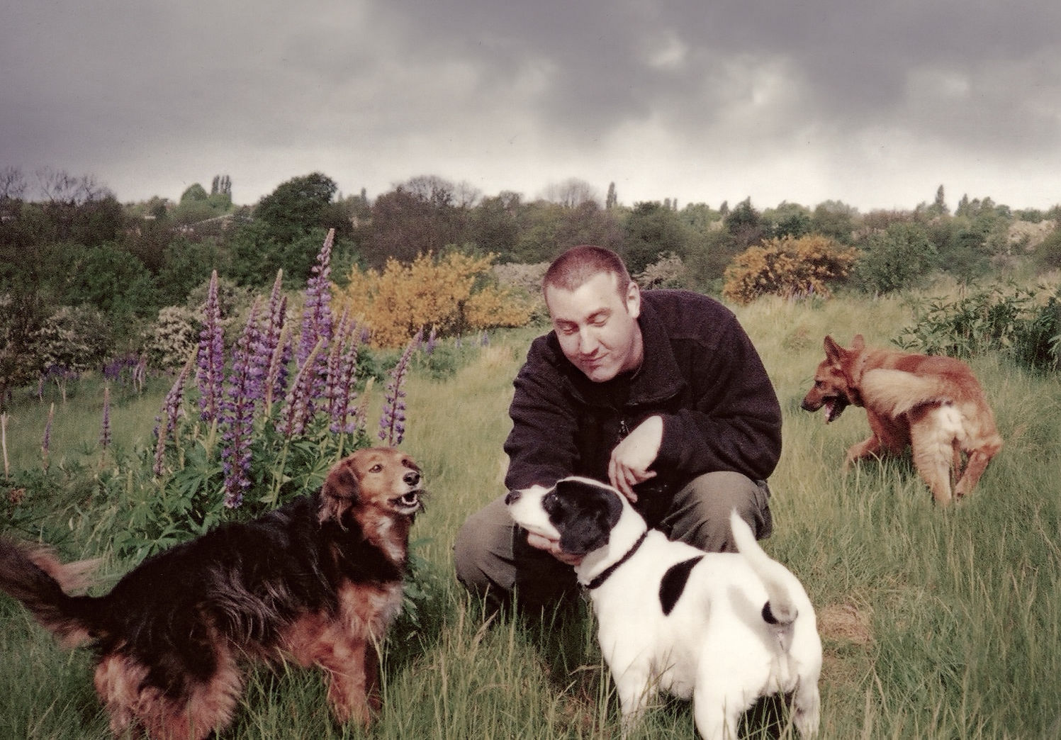 hadfield glossop tintwistle dog walker broadbottom